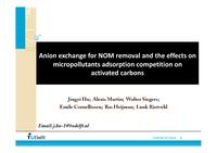 Anion exchange for NOM removal and the effects on micropollutants adsorption competition on activated carbons