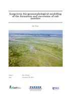 Long-term bio-geomorphological modelling of the formation and succession of salt marshes