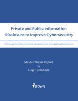 Private and public information disclosure to improve cybersecurity