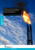 Modelling the Emergence of Functioning Natural Gas Wholesale Markets