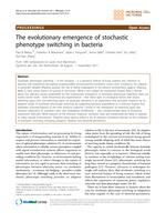 The evolutionary emergence of stochastic phenotype switching in bacteria