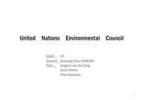 United Nations Environmental Council
