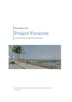 Project Veracruz: An assessment for the eroding beach south of Veracruz