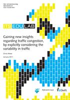 Gaining new insights regarding traffic congestion, by explicitly considering the variability in traffic