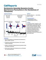 Nucleosome Assembly Dynamics Involve Spontaneous Fluctuations in the Handedness of Tetrasomes