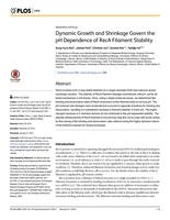 Dynamic Growth and Shrinkage Govern the pH Dependence of RecA Filament Stability