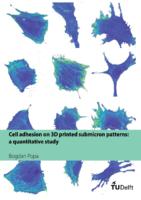Cell adhesion on 3D printed submicron patterns: a quantitative study