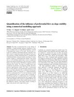 Quantification of the influence of preferential flow on slope stability using a numerical modelling approach