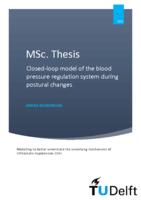 Closed-loop model of the blood pressure regulation system during postural changes