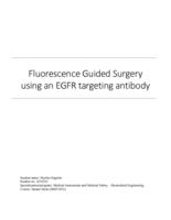 Fluorescence guided surgery using an EGFR targeting antibody