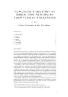 Numerical Simulation of Radial Non-Newtonian Foam Flow in a Reservoir