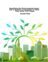 Quantifying the environmental impacts due to resource consumption in cities 