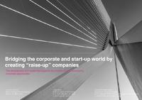 Bridging the corporate and start-up world by creating “raise-up” companies