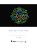 Scaled agile maturity model