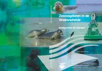 Zeezoogdieren in de Westerschelde: Knelpunten en kansen