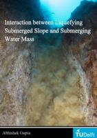 Interaction between Liquefying Submerged Slope and Submerging Water Mass