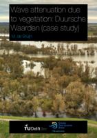 Wave attenuation due to vegetation: Duursche Waarden (case study)