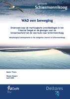 WAD een beweging; Onderzoek naar de morfologische veranderingen in het Friesche Zeegat en de gevolgen voor de bevaarbaarheid van de vaarroute naar Schiermonnikoog