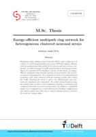 Energy-efficient multipath ring network for heterogeneous clustered neuronal arrays