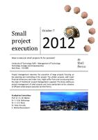 Small project execution - How to execute small projects fit for purpose?