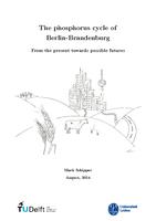 The phosphorus cycle of Berlin-Brandenburg