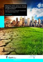Adapting urban areas to climate change: a necessary evil or a world of opportunities?