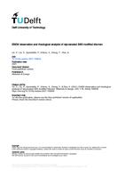 ESEM observation and rheological analysis of rejuvenated SBS modified bitumen