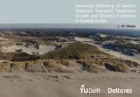 Numerical Modelling of Aeolian Sediment Transport, Vegetation Growth and Blowout Formation in Coastal Dunes