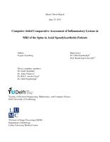 Computer-Aided Comparative Assessment of Inflammatory Lesions in MRI of the Spine in Axial Spondyloarthritis Patients