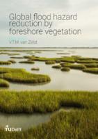 Global Flood Hazard Reduction by Foreshore Vegetation