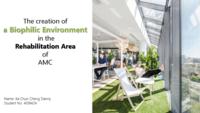 The creation of a biophilic environment in the rehabilitation area of AMC