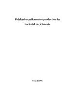 Polyhydroxyalkanoates production by bacterial enrichments