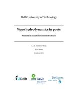Wave Hydrodynamics in Ports