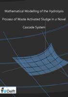 Mathematical Modelling of the Hydrolysis Process of Waste Activated Sludge in a Novel Cascade System