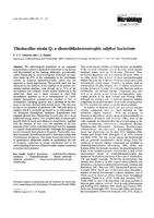 Thiobacillus strain Q, a chemolithoheterotrophic sulphur bacterium