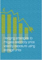 Hedging strategies to mitigate electricity price volatility exposure using storage units