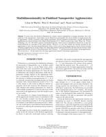 Multidimensionality in Fluidized Nanopowder Agglomerates