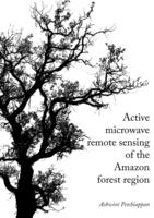 Active microwave remote sensing of the Amazon forest region
