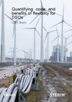 Quantifying costs and benefits of flexibility for DSOs