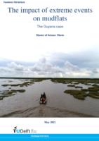 The impact of extreme events on mudflats - The Guyana case