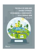 The role of grid-size energy storage in enabling a community-level energy hub