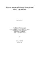 The structure of three-dimensional sheet cavitation