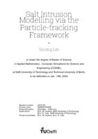 Salt Intrusion Modelling via the Particle-tracking Framework