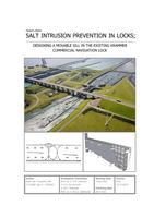 Salt Intrusion Prevention in Locks: Designing a Movable Sill in the Existing Krammer Commercial Navigation Lock