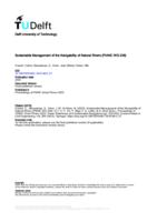 Sustainable Management of the Navigability of Natural Rivers (PIANC WG 236)