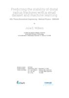 Predicting the stability of distal radius fractures with a small dataset and machine learning