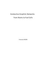 Conductive Graphitic Networks: From Atoms to Fuel Cells