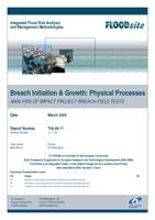 Breach Initiation and Growth: Physical Processes