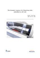 The dynamic response of a Hyperloop tube embedded in soft soils