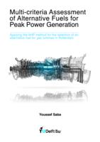 Multi-criteria Assessment of Alternative Fuels for Peak Power Generation